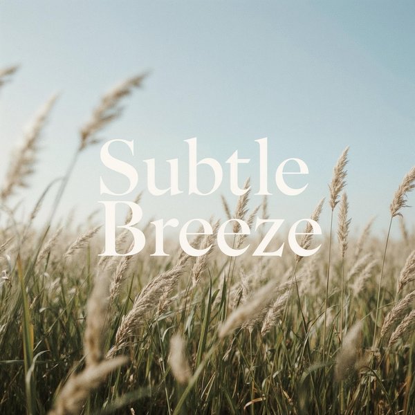 Subtle Breeze album cover